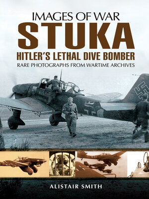 cover image of Stuka